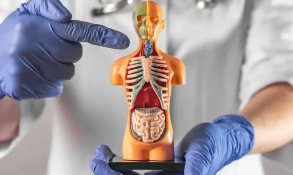 Endocrinología